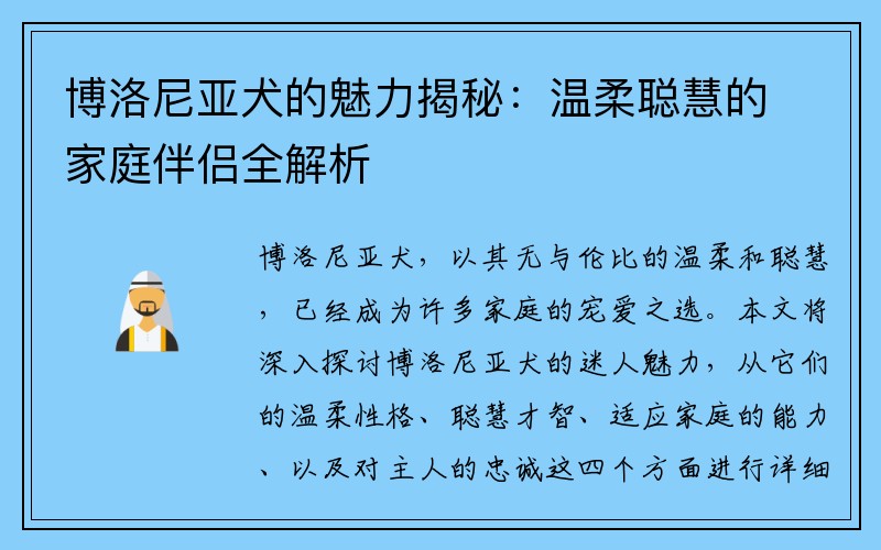 博洛尼亚犬的魅力揭秘：温柔聪慧的家庭伴侣全解析